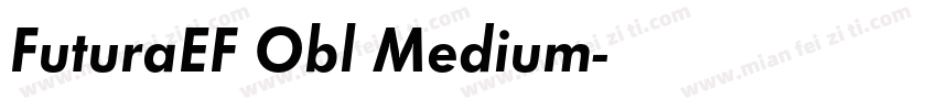 FuturaEF Obl Medium字体转换